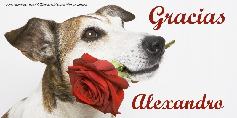 Felicitaciones de gracias - Gracias Alexandro