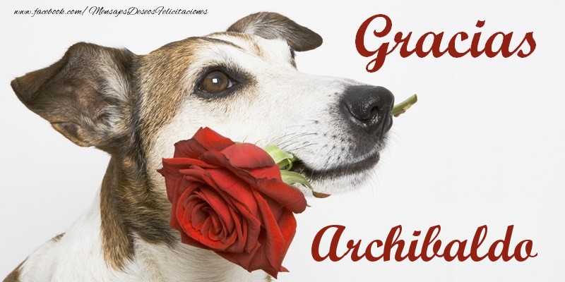 Felicitaciones de gracias - Gracias Archibaldo