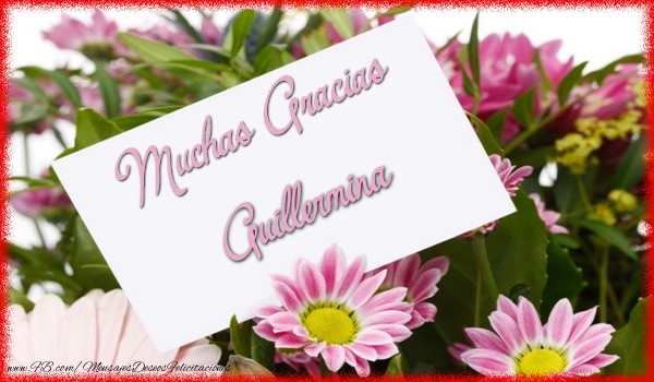 Felicitaciones de gracias - Muchas Gracias Guillermina