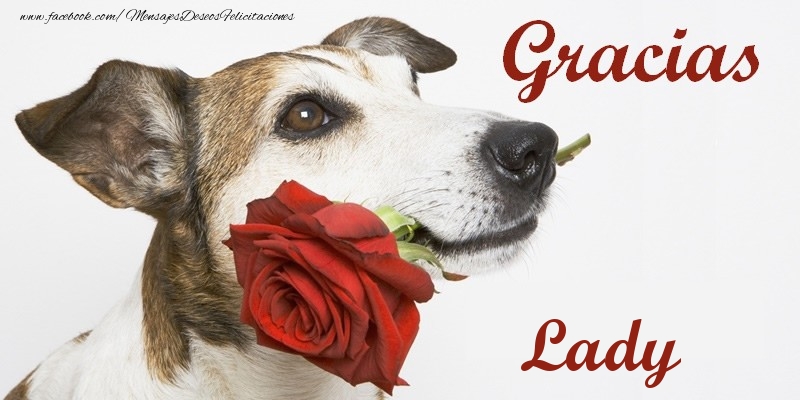 Felicitaciones de gracias - Gracias Lady