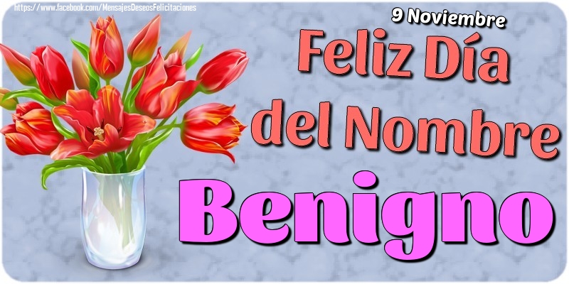 Felicitaciones de Onomástica - 9 Noviembre - Feliz Día del Nombre Benigno!