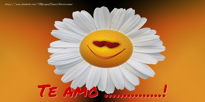 Felicitaciones Personalizadas de amor - Te amo ...!