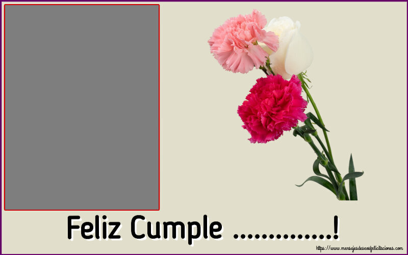 Felicitaciones Personalizadas de cumpleaños - Feliz Cumple ...! - Marco de foto