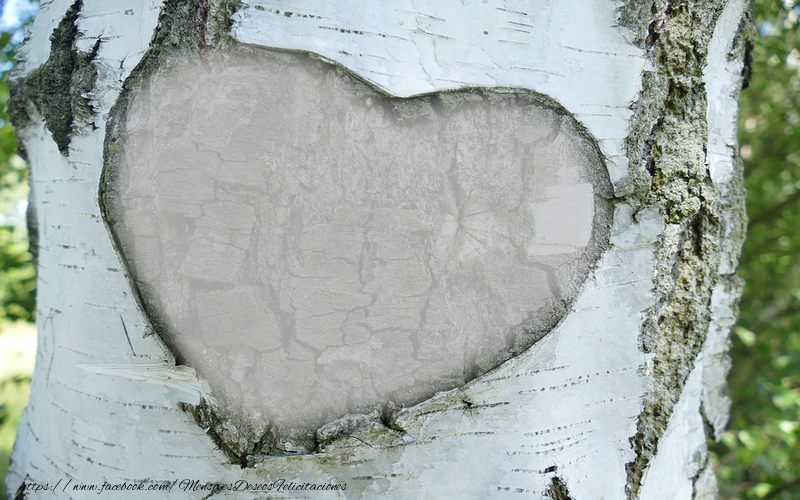 Felicitaciones Personalizadas con fotos - Marco de la foto