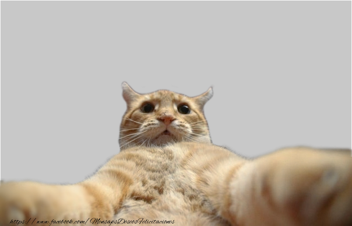 Felicitaciones Personalizadas con fotos - Selfie