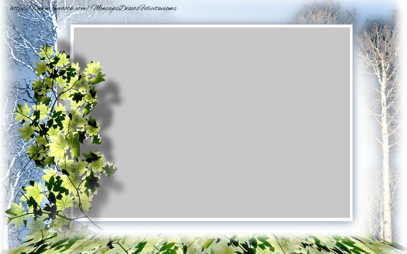 Felicitaciones Personalizadas con fotos - Otoño