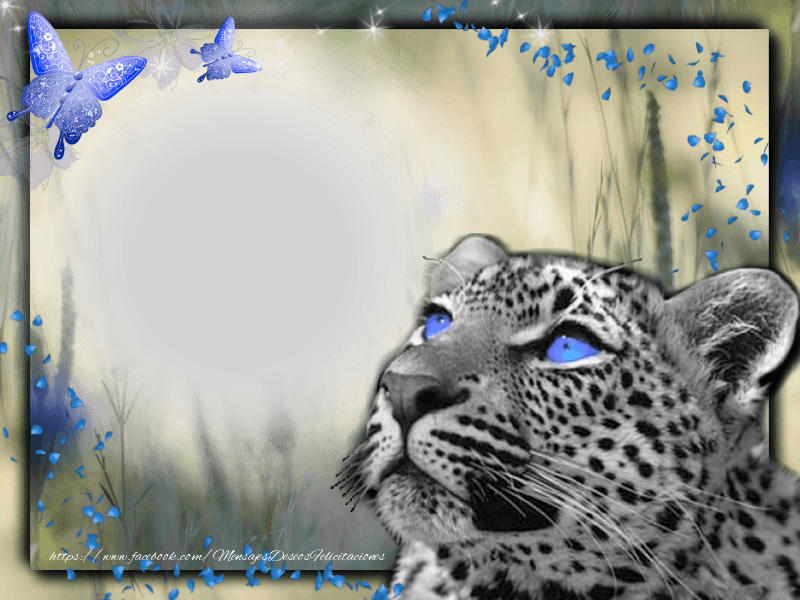 Felicitaciones Personalizadas con fotos - Marco de fotos