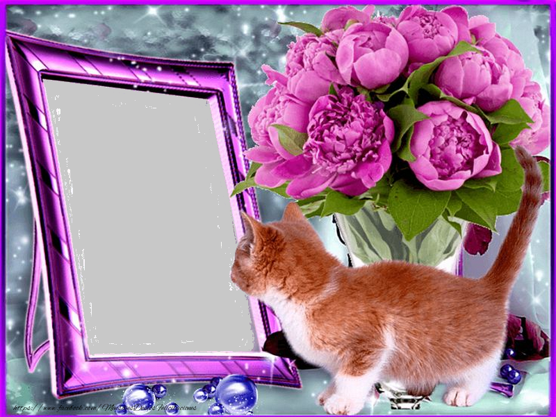 Felicitaciones Personalizadas con fotos - Marco de fotos