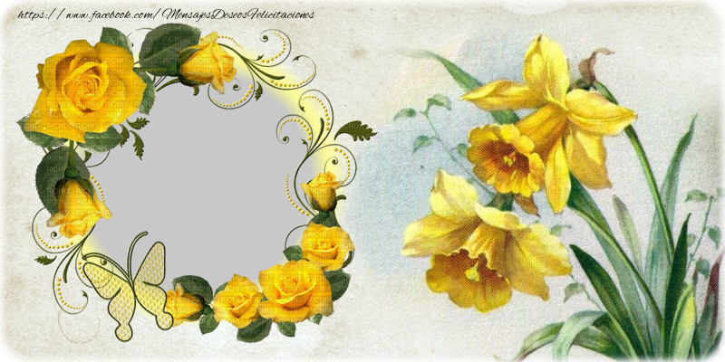 Felicitaciones Personalizadas con fotos - Marco de fotos