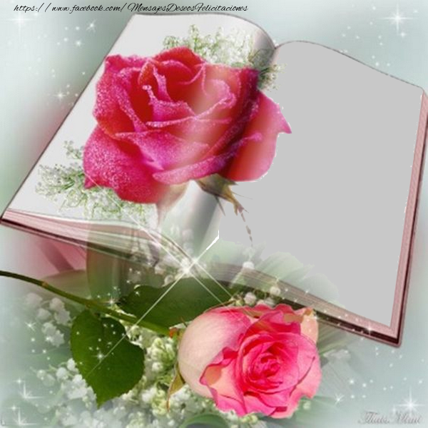 Felicitaciones Personalizadas con fotos - Marco de fotos