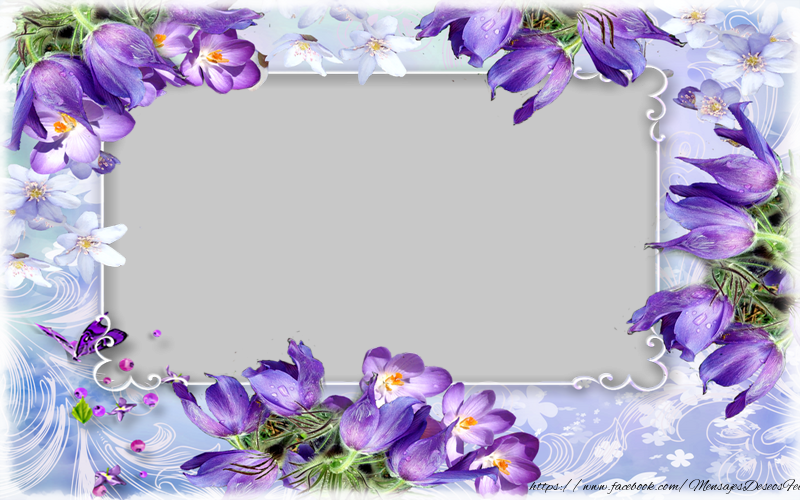 Felicitaciones Personalizadas con fotos - Marco de fotos