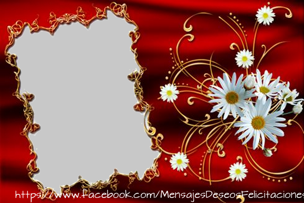 Felicitaciones Personalizadas con fotos - Marco de fotos