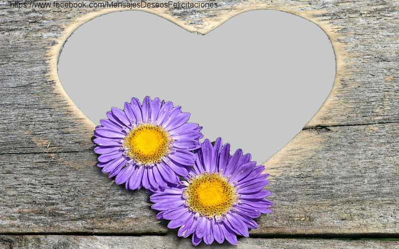 Felicitaciones Personalizadas con fotos - Marco de fotos