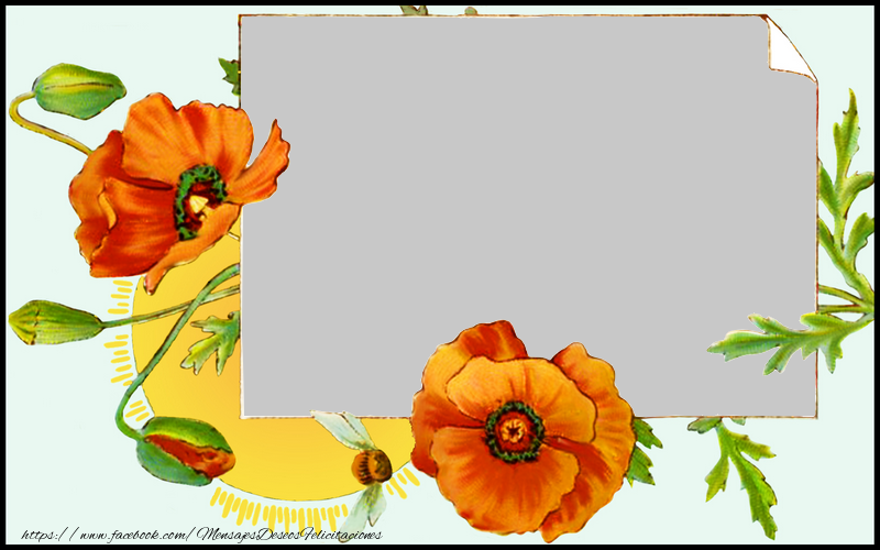 Felicitaciones Personalizadas con fotos - Marco de fotos