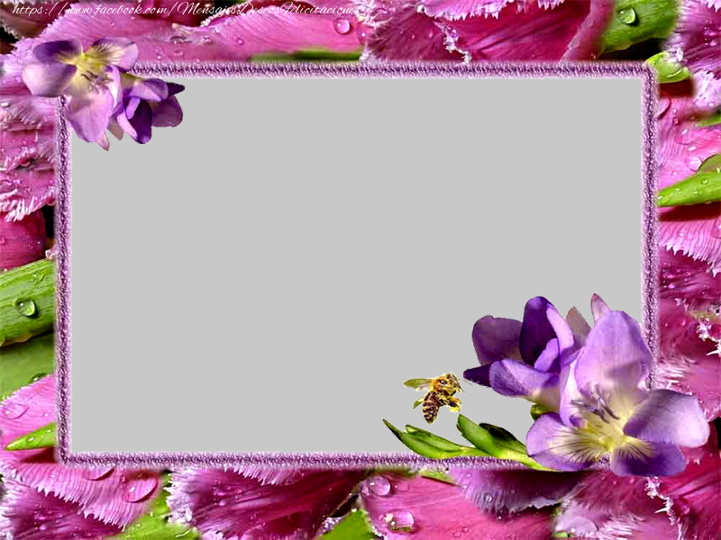 Felicitaciones Personalizadas con fotos - Marco de fotos