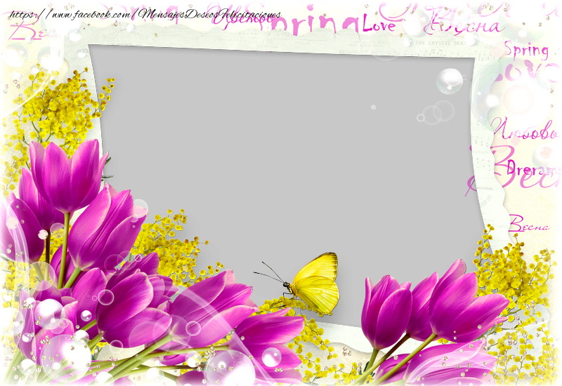 Felicitaciones Personalizadas con fotos - Marco de fotos