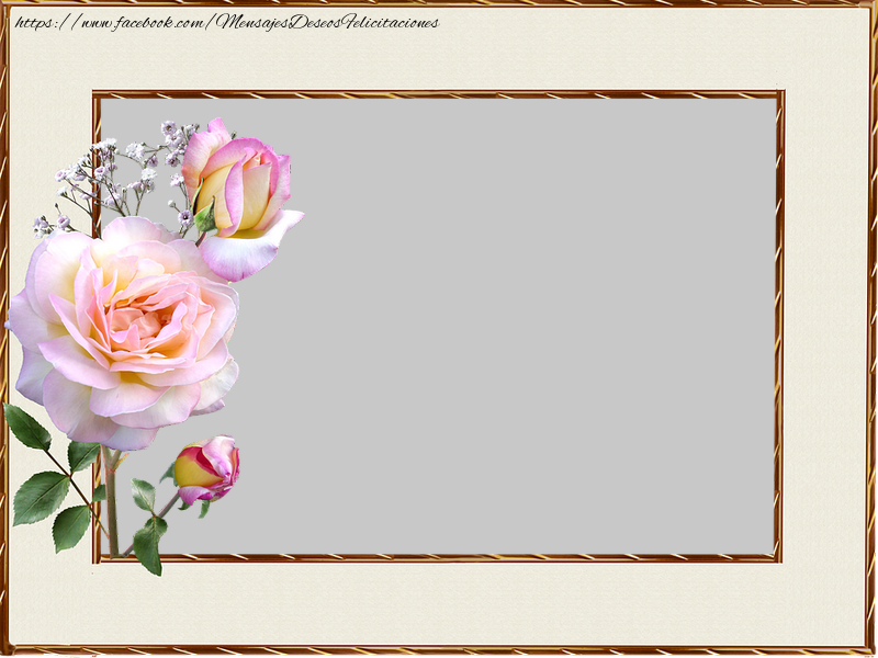 Felicitaciones Personalizadas con fotos - Marco de fotos