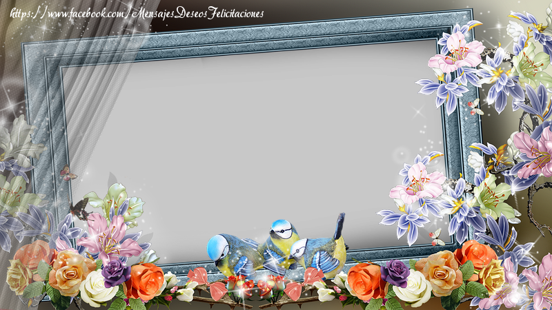 Felicitaciones Personalizadas con fotos - Marco de fotos
