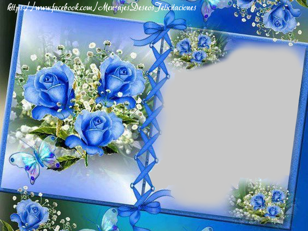 Felicitaciones Personalizadas con fotos - Marco de fotos