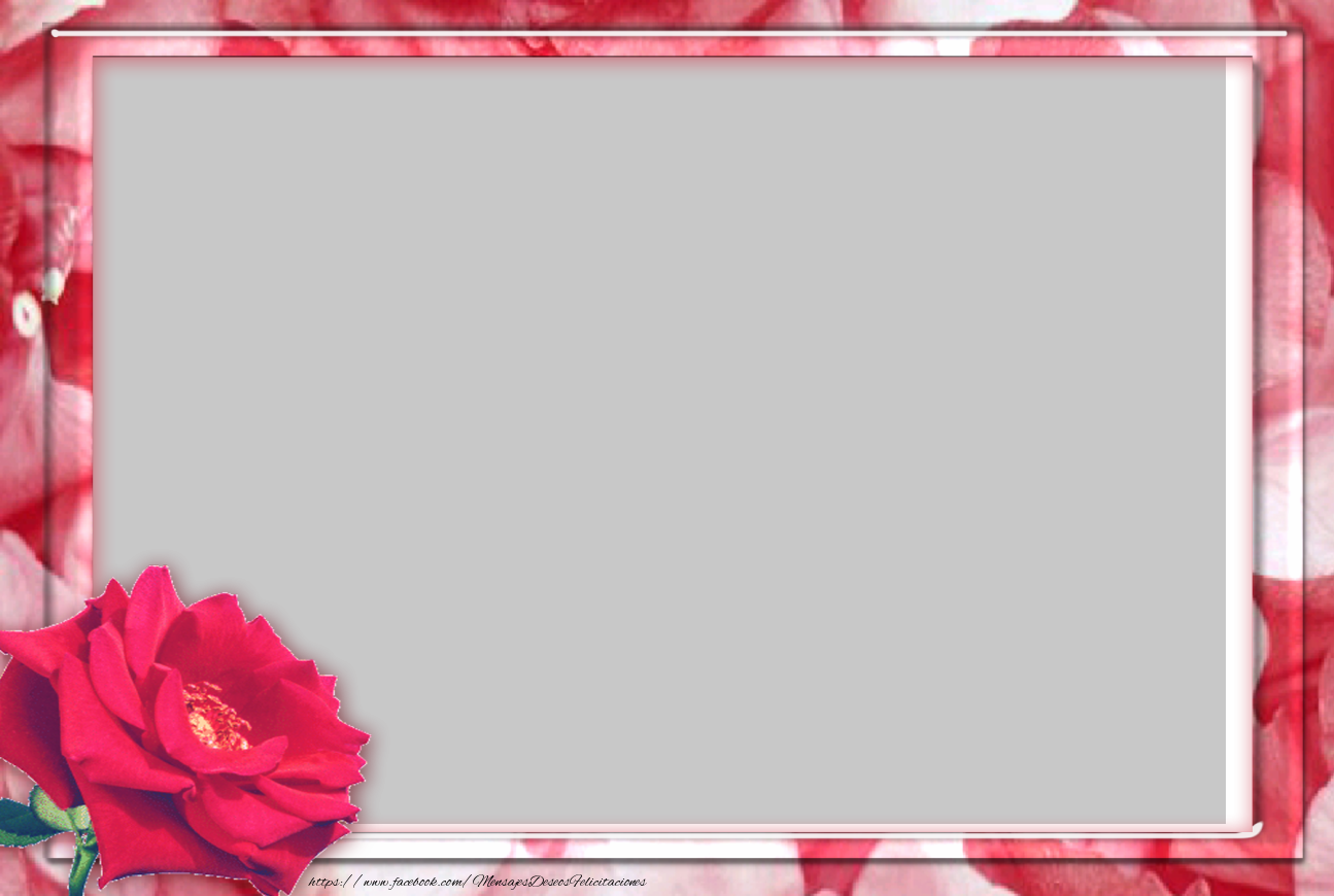 Felicitaciones Personalizadas con fotos - Marco de fotos con las rosas