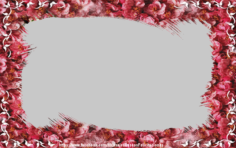 Felicitaciones Personalizadas con fotos - Marco de la foto