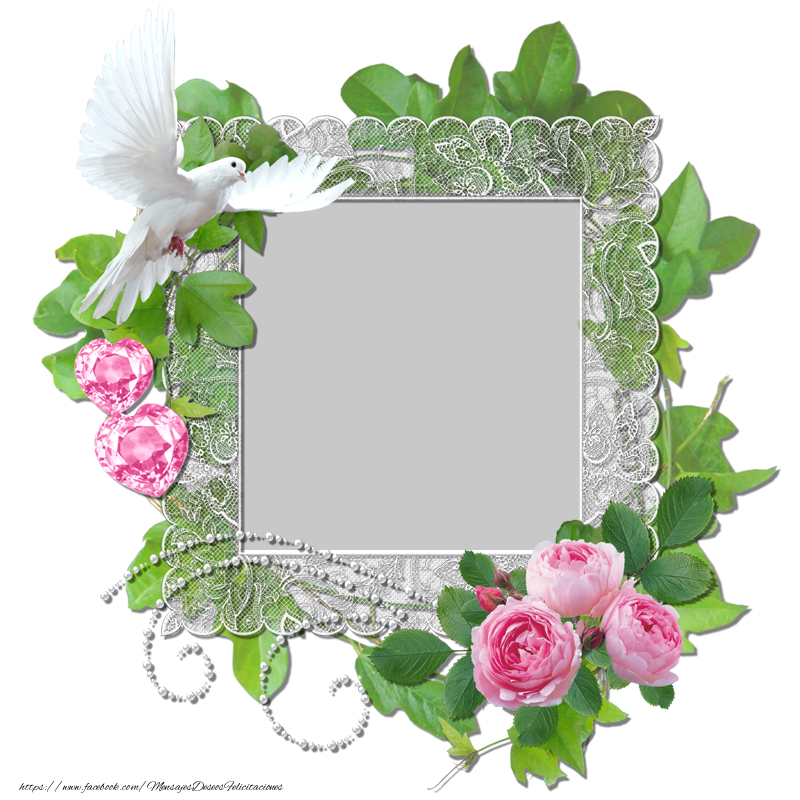 Felicitaciones Personalizadas con fotos - Regenera su imagen de perfil