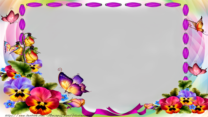 Felicitaciones Personalizadas con fotos - Marco de la foto