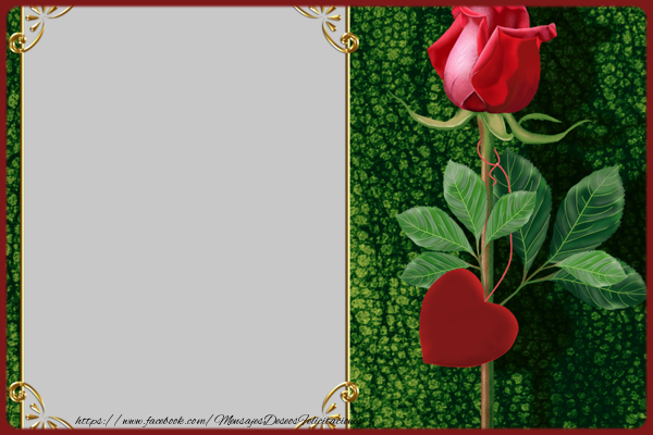 Felicitaciones Personalizadas con fotos - Marco de fotos con Rose