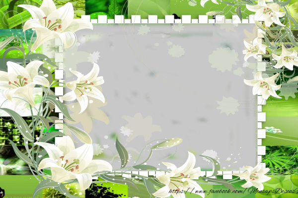 Felicitaciones Personalizadas con fotos - Marco de la foto