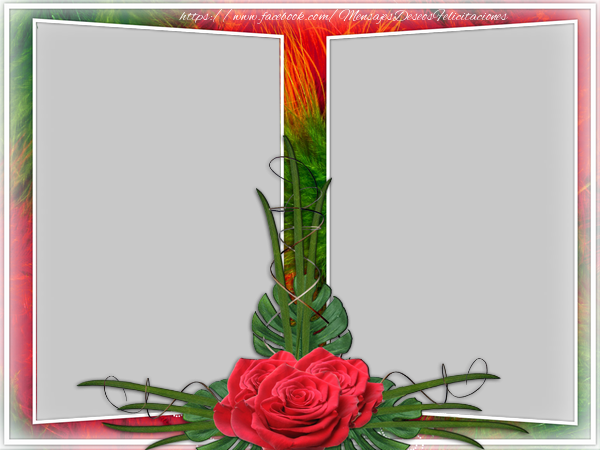 Felicitaciones Personalizadas con fotos - Marco para fotos con flores