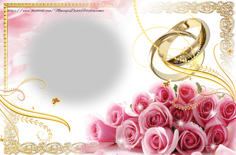 Felicitaciones Personalizadas con fotos - Álbum de bodas