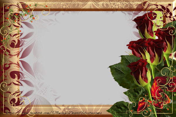 Felicitaciones Personalizadas con fotos - Marco para fotos