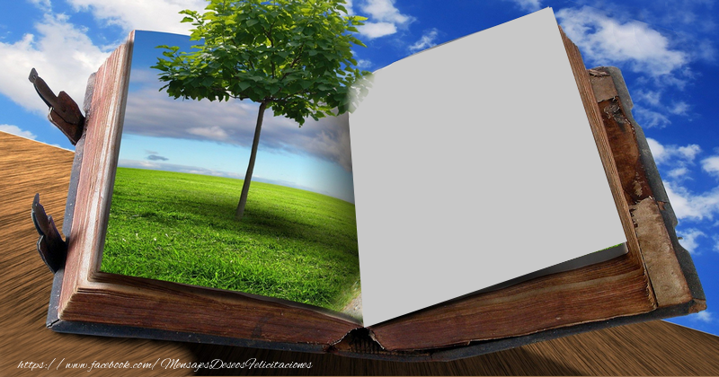 Felicitaciones Personalizadas con fotos - Su libro
