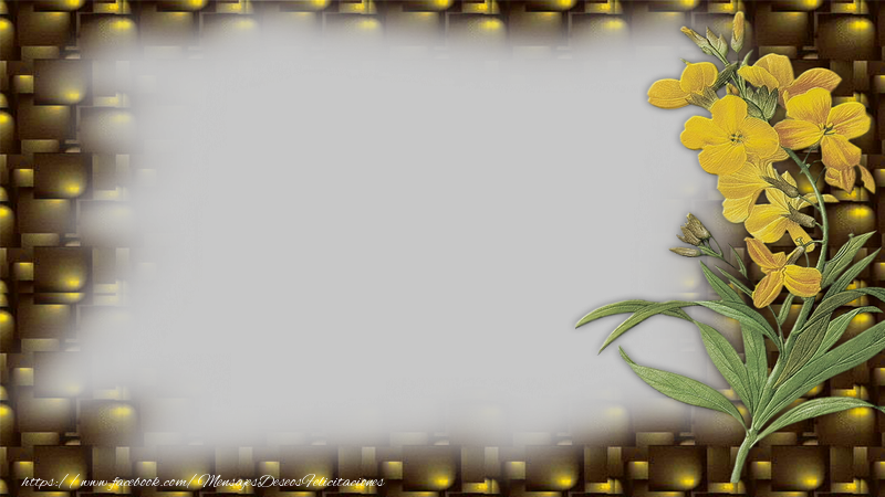 Felicitaciones Personalizadas con fotos - Marco para fotos con flores