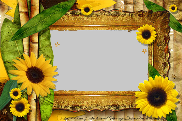 Felicitaciones Personalizadas con fotos - Marco de la foto del girasol