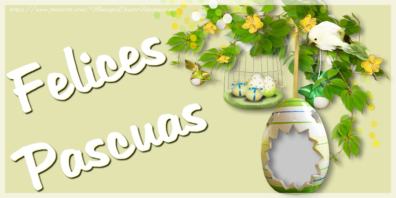 Felicitaciones Personalizadas de pascua - Felices Pascuas