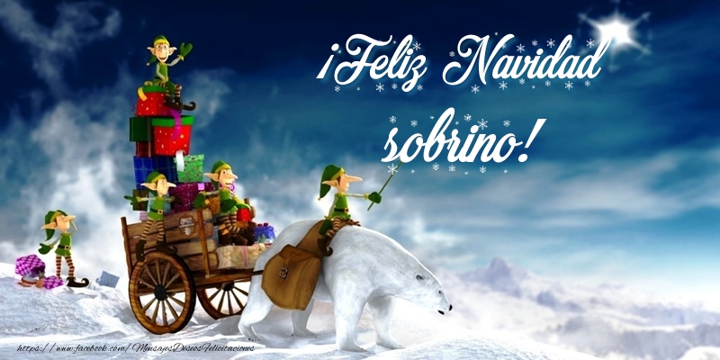 Felicitaciones de Navidad para sobrino - ¡Feliz Navidad sobrino!