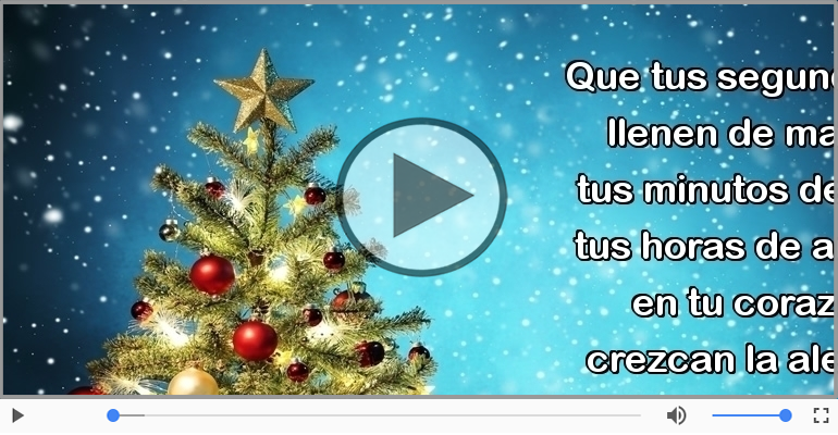 ¡Feliz Navidad! Merry Christmas!