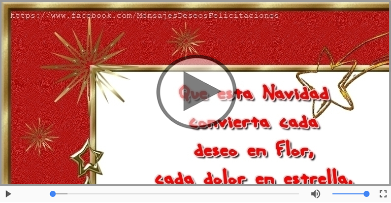 ¡Feliz Navidad!