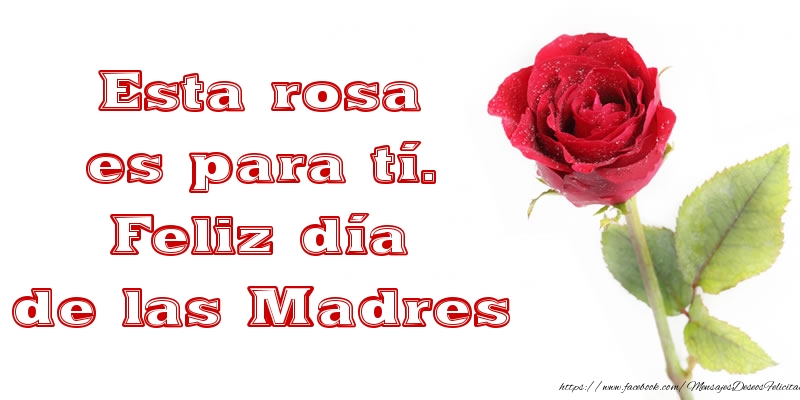 Felicitaciones para el día de la mujer - Esta rosa es para tí. Feliz día de las Madres - mensajesdeseosfelicitaciones.com