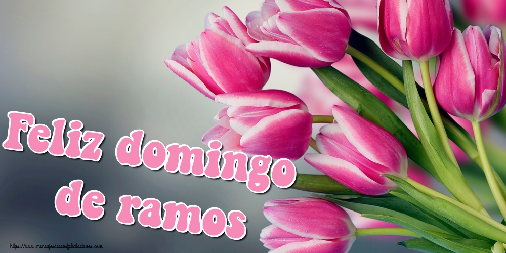 Felicitaciones de Domingo De Ramos - Feliz domingo de ramos - mensajesdeseosfelicitaciones.com