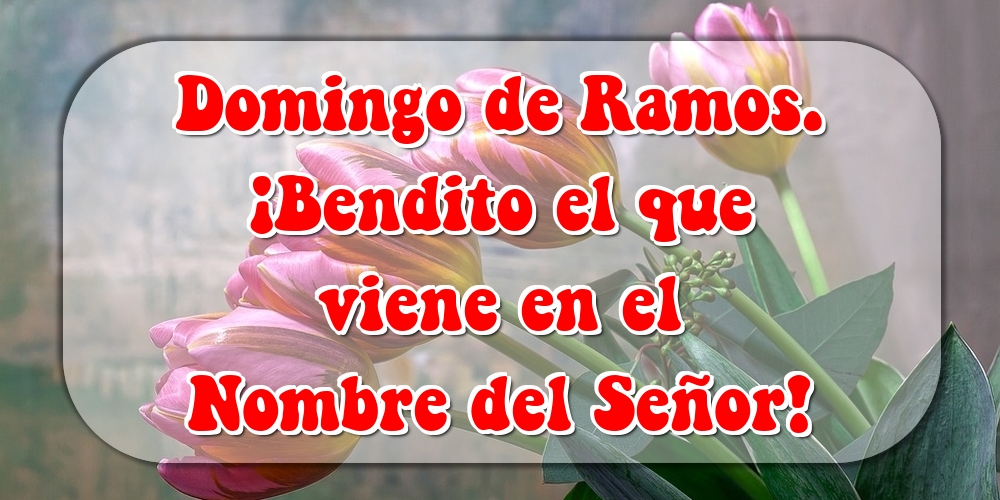 Felicitaciones de Domingo De Ramos - Domingo de Ramos. ¡Bendito el que viene en el Nombre del Señor! - mensajesdeseosfelicitaciones.com