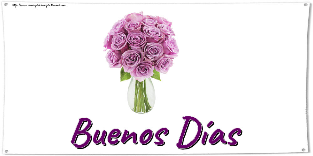 Buenas Tardes Buenos Días ~ rosas moradas en macetas