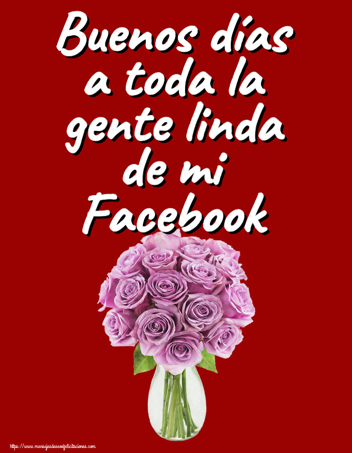Felicitaciones de buenas tardes - Buenos días a toda la gente linda de mi Facebook ~ rosas moradas en macetas - mensajesdeseosfelicitaciones.com