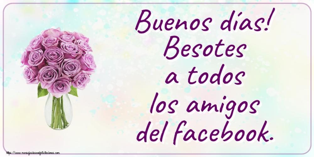 Buenas Tardes Buenos días! Besotes a todos los amigos del facebook. ~ rosas moradas en macetas