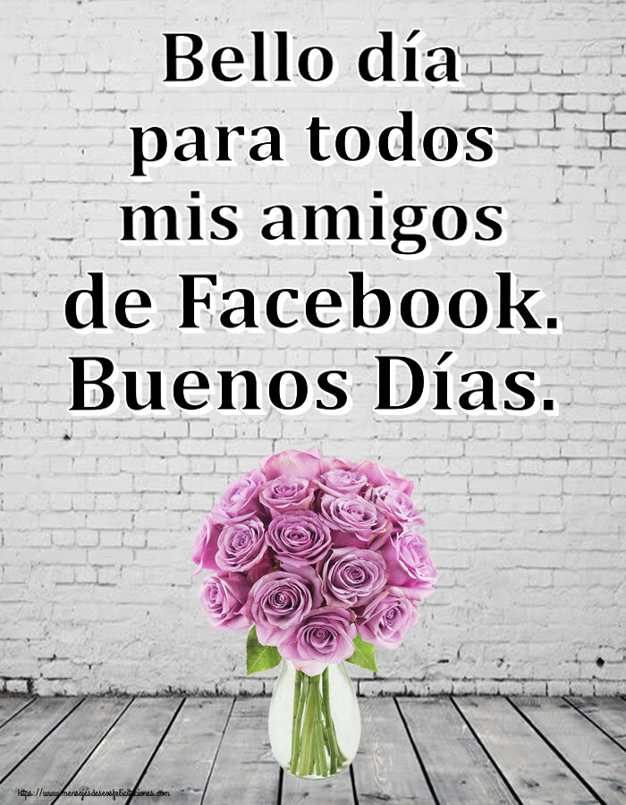 Bello día para todos mis amigos de Facebook. Buenos Días. ~ rosas moradas en macetas