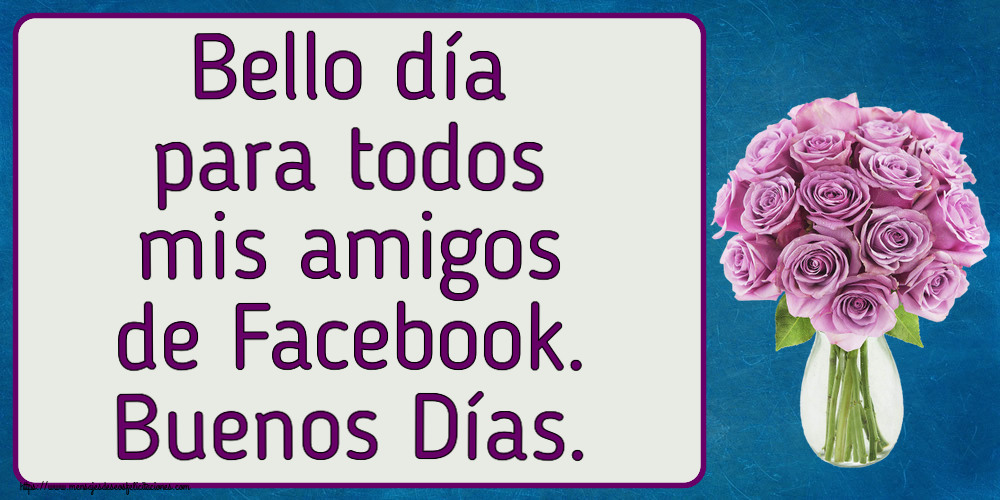 Felicitaciones de buenas tardes - Bello día para todos mis amigos de Facebook. Buenos Días. ~ rosas moradas en macetas - mensajesdeseosfelicitaciones.com