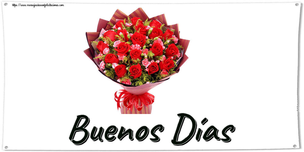 Buenas Tardes Buenos Días ~ rosas rojas y claveles