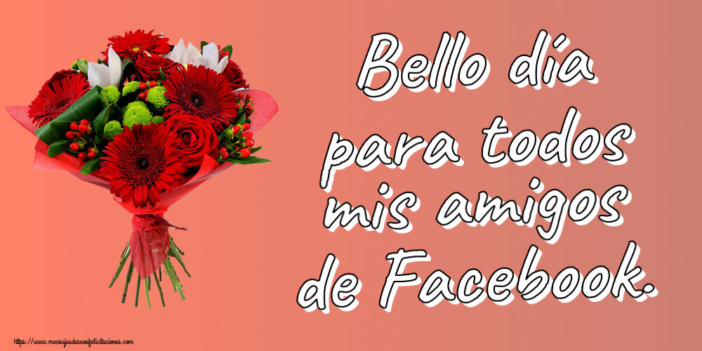 Buenas Tardes Bello día para todos mis amigos de Facebook. ~ ramo de gerberas