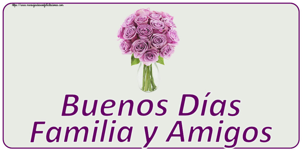 Felicitaciones de buenas tardes - Buenos Días Familia y Amigos ~ rosas moradas en macetas - mensajesdeseosfelicitaciones.com